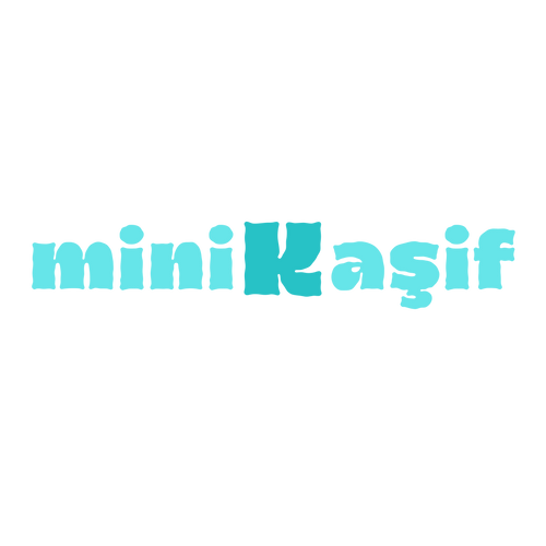 MiniKaşif